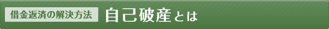 【借金返済の解決方法】自己破産とは